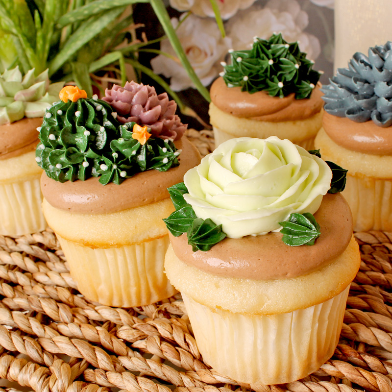 Succulents Cupcakes